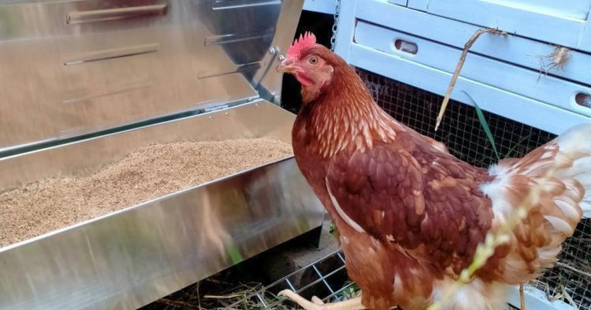 Automatic treedle feeders