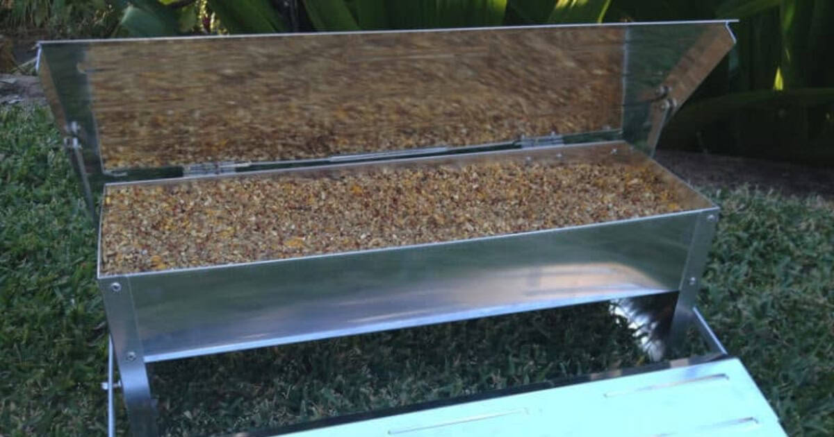 preparing chicken feeder