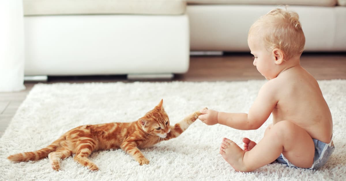 Children being introduced to pet
