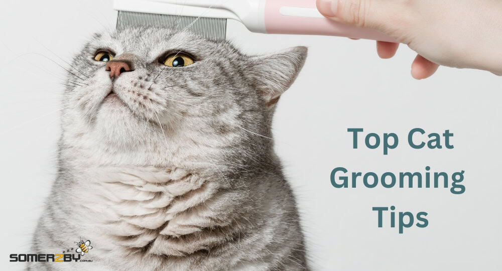 Top Cat Grooming Tips