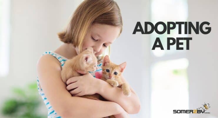 Adopting a Pet