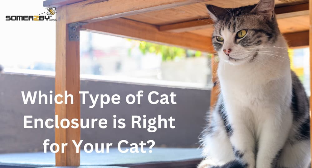 Which Type of Cat Enclosure is Right for Your Cat
