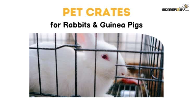 Pet Crates for Rabbits and Guinea Pigs