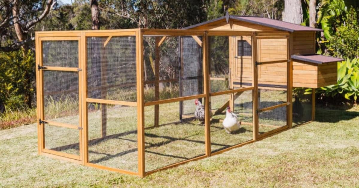 Somerzby Estate and Run - Walk in chicken coop