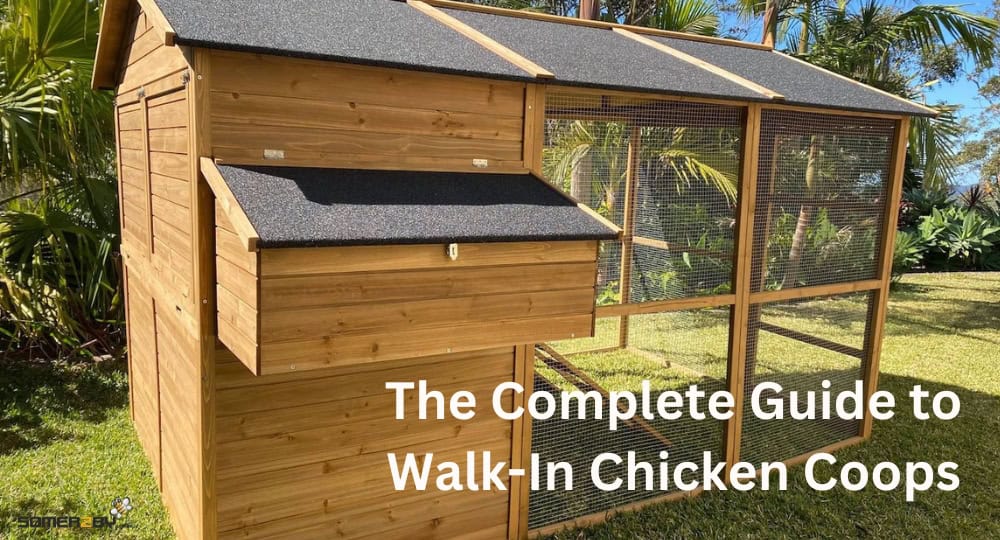 The Complete Guide to Walk-In Chicken Coops