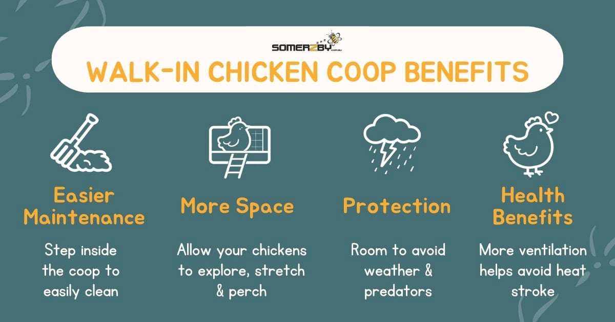 Walk In Chicken Coop Benefits