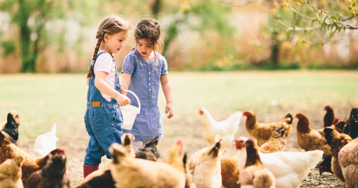 Sense Of Responsibility And Duty