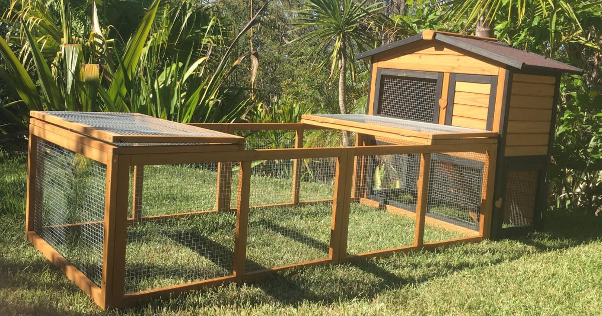 Guinea Pig Enclosure - Villa and Run