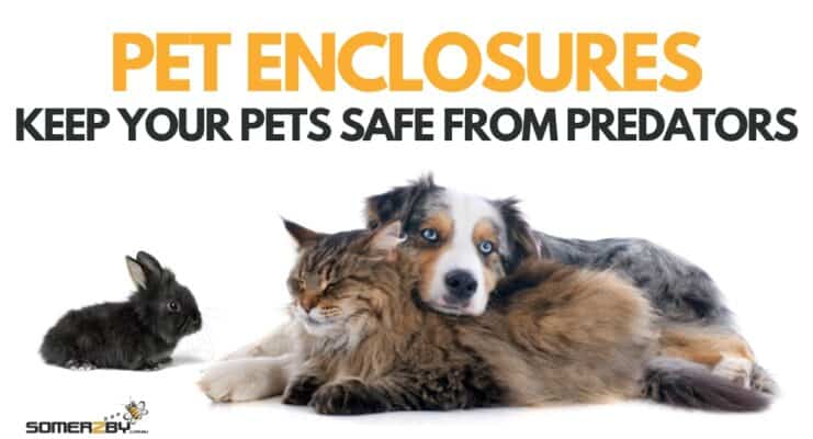 Pet Enclosures - Safe from predators