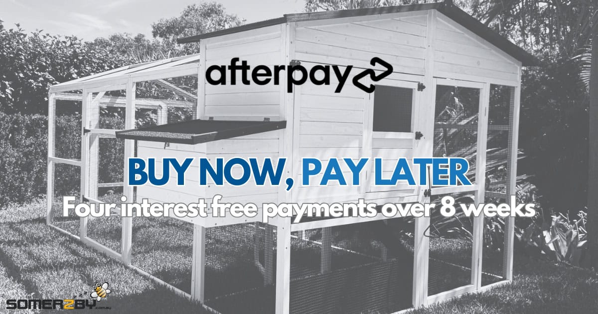 afterpay, BUY NOW, PAY LATER