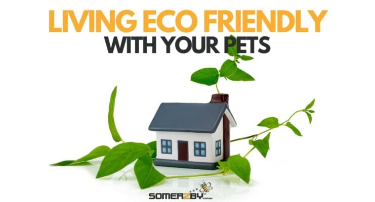 How to Live Eco Friendly With Your Pets