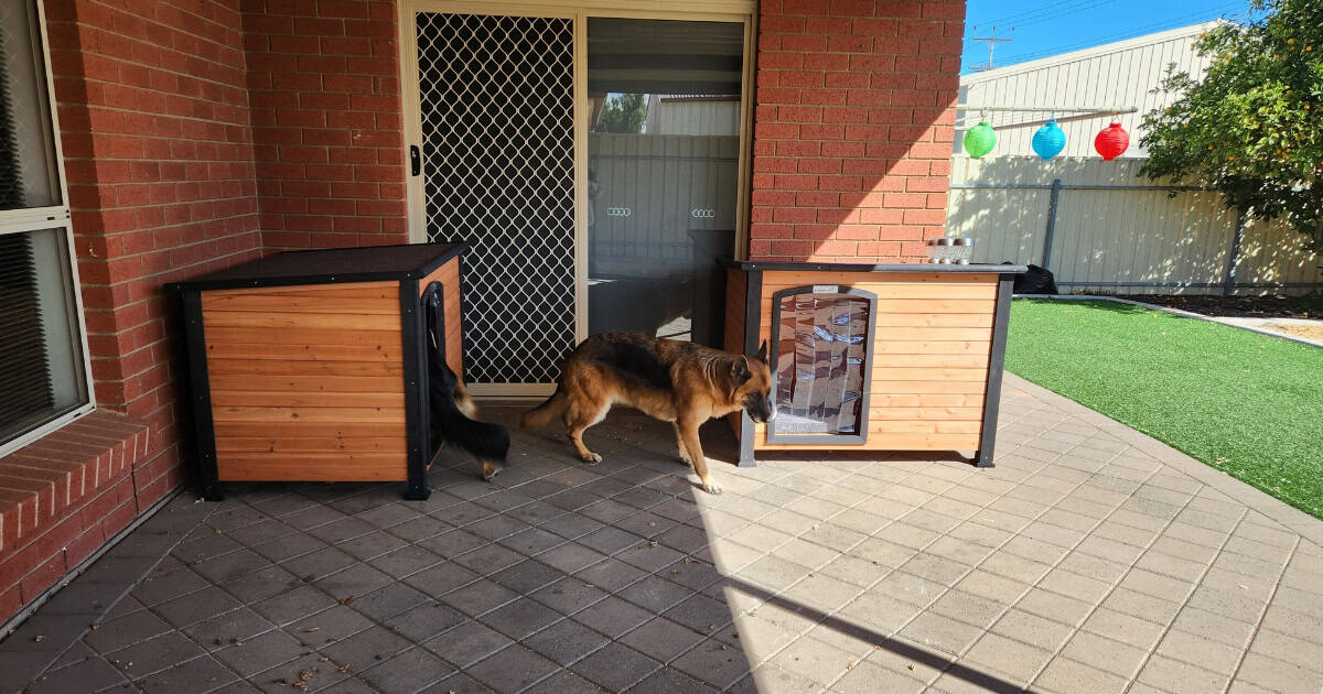 Customer photo of 2 Somerzby Haven Kennels undercover