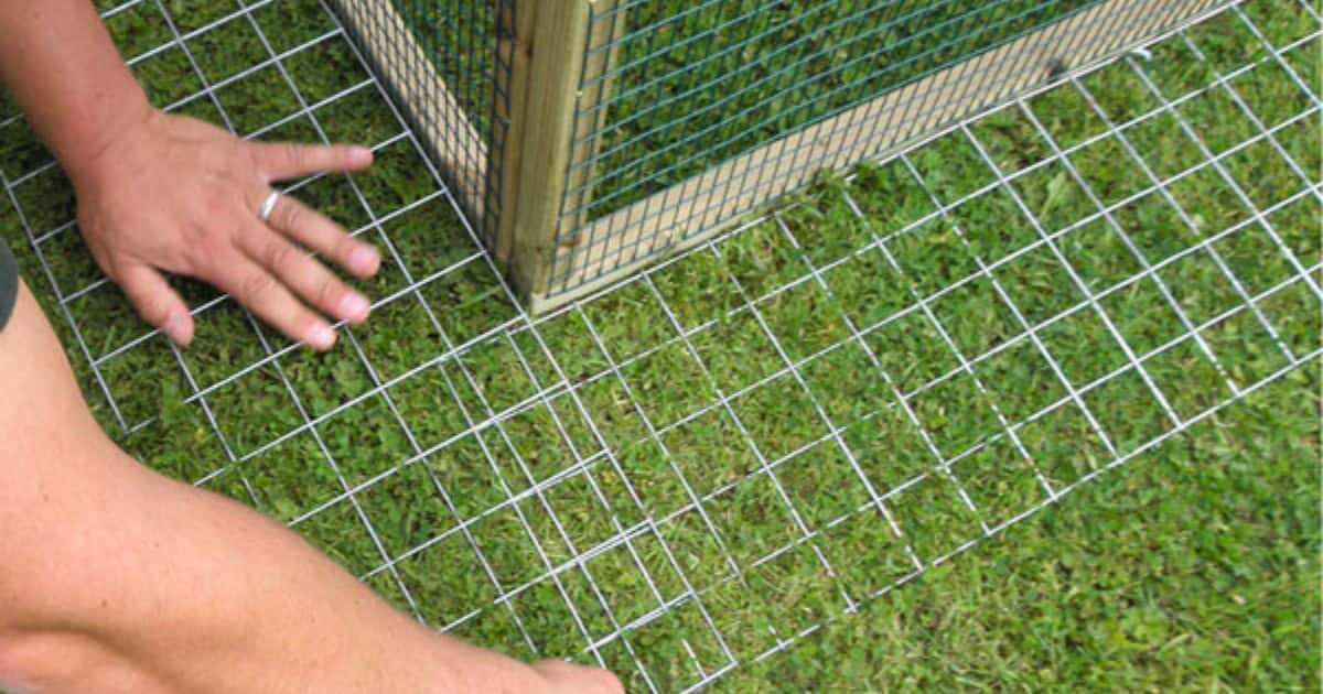 Foxes can dig, consider installing a wire apron to stop digging