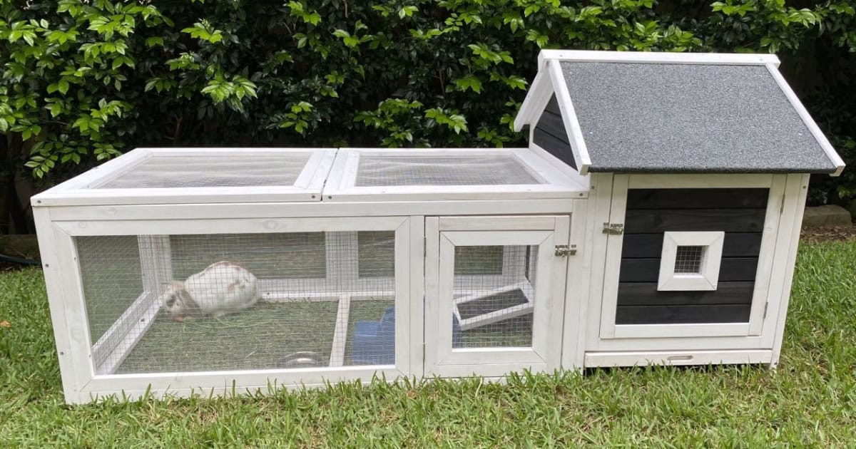 Somerzby Deluxe Cottage Rabbit House