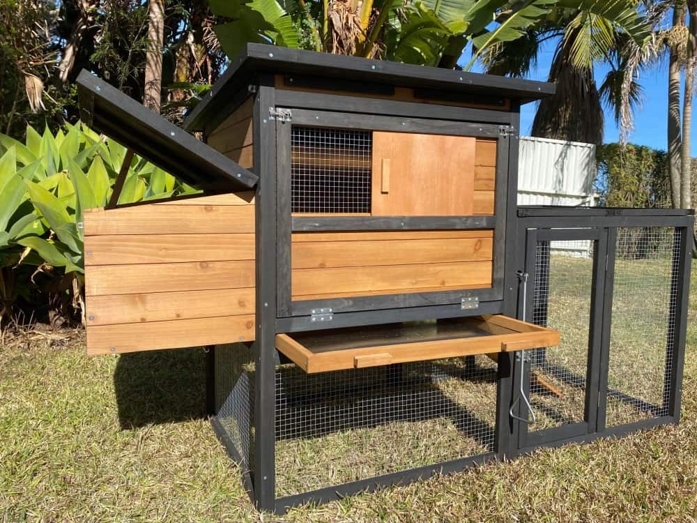 Bungalow Chicken Coop - Nest box open, tray out