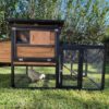 Bungalow Chicken Coop with Chicken