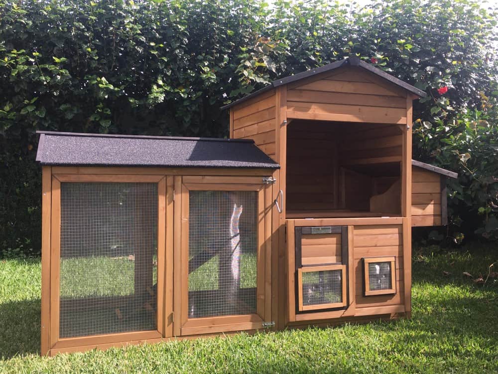 Coop opening - cat house area