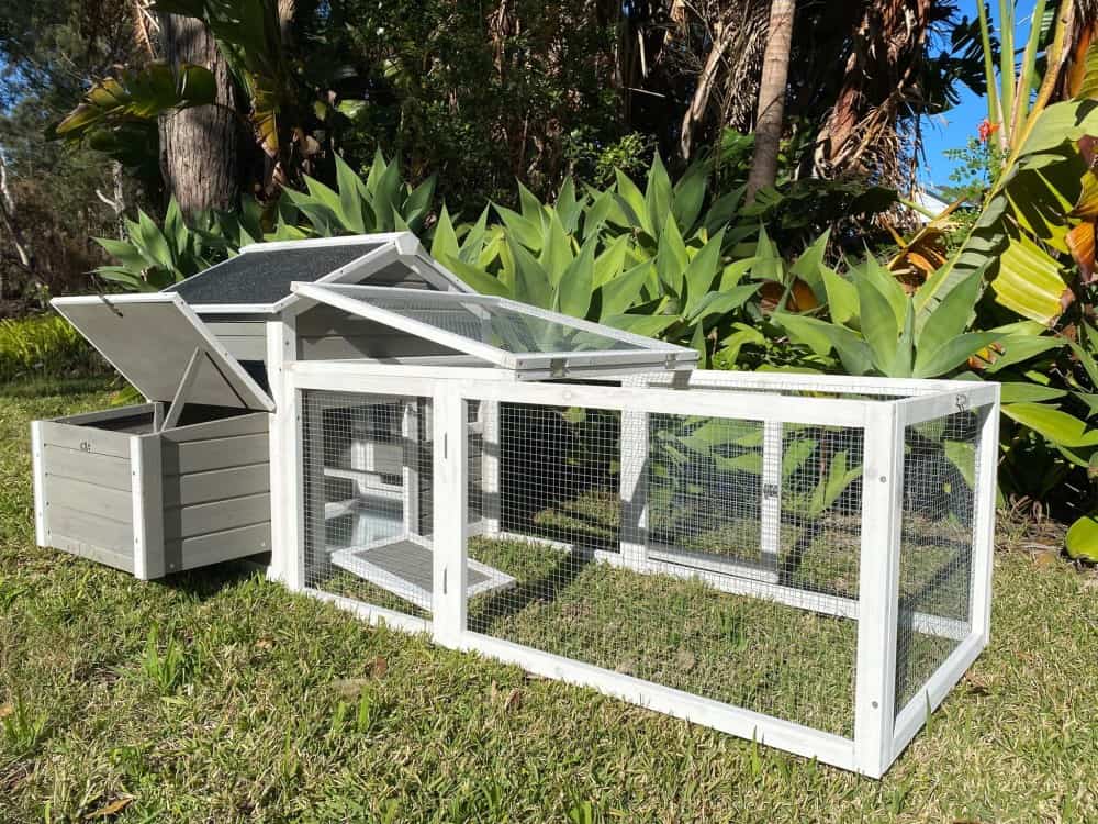 Grey Cottage Chicken Coop - Run and Nesting Box Open