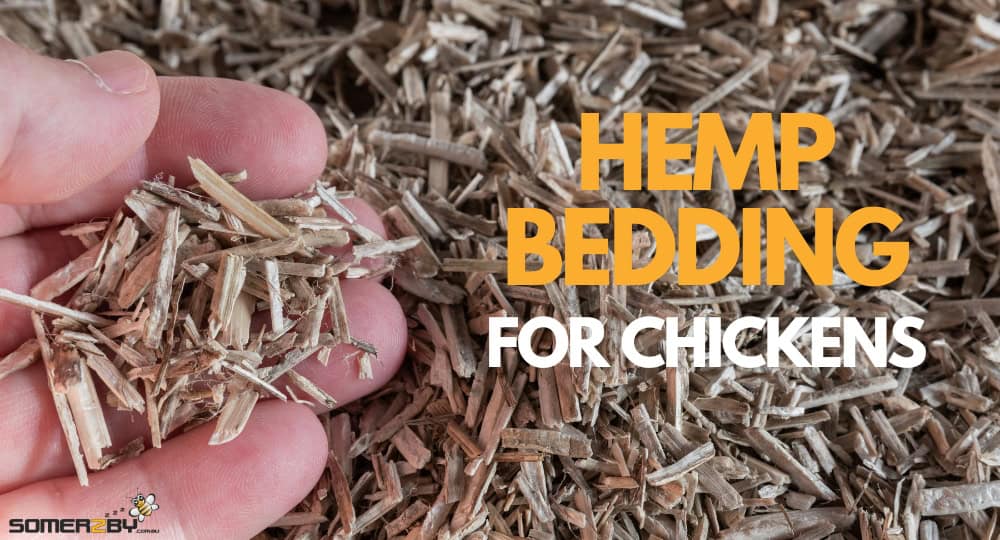 Hemp Bedding for Chickens