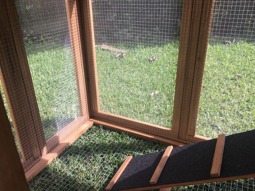 Internal view of ramp to chicken coop