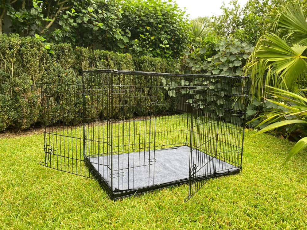 42 Inch Crate - Doors Open