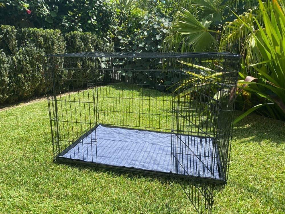 48 Inch Crate - Side Door Open