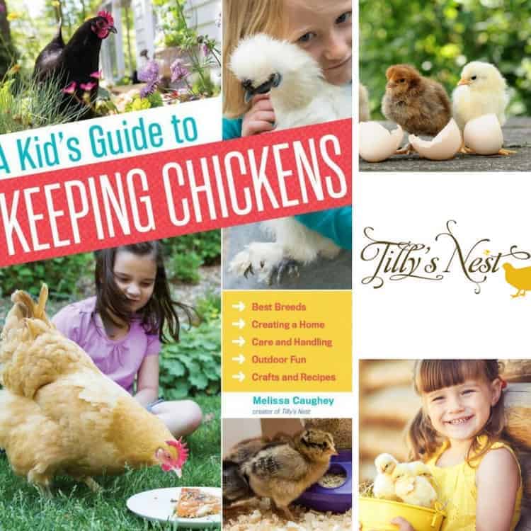 Finding Hope in Feathers 