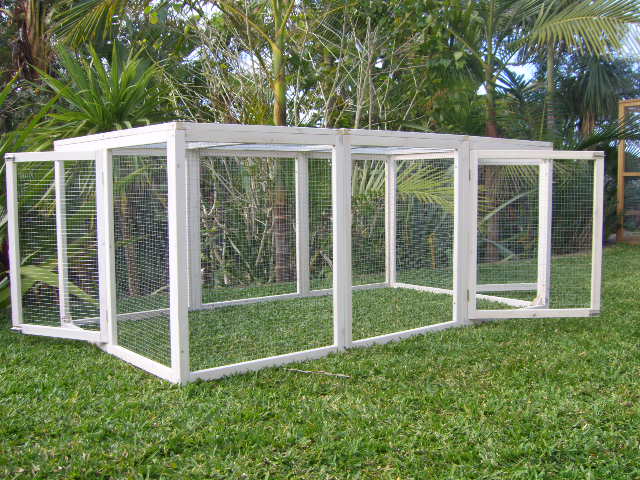 Mansion Cat Run - Doors open