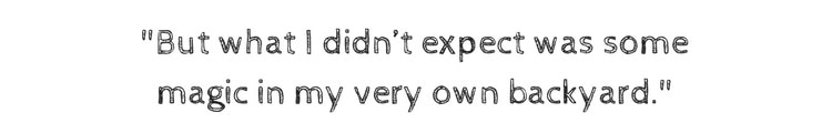 But what I didn't expect was some magic in my very own backyard