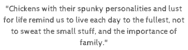 Chickens with their spunky personalities