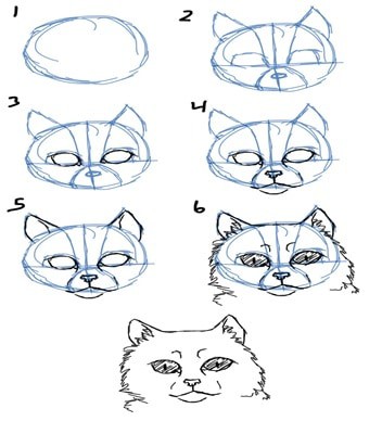 How to Draw A Cats Face How to Draw A Cats Face