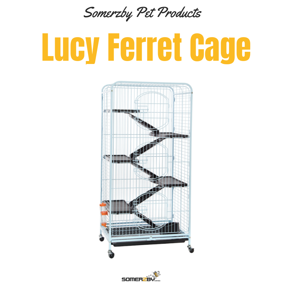 Lucy Ferret Cage Lucy Ferret Cage