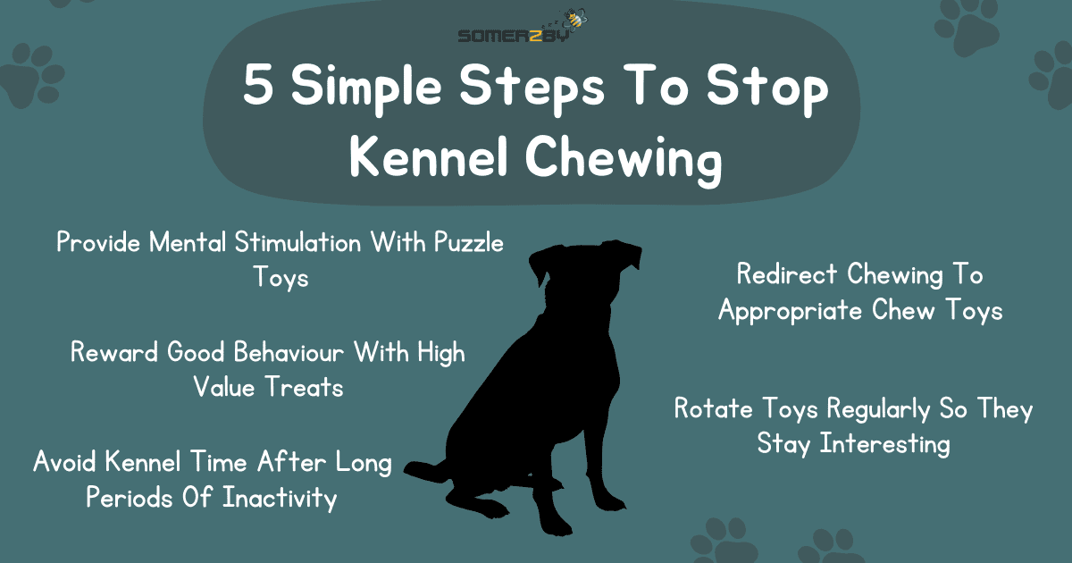 5 simple steps to stop kennel chewing.