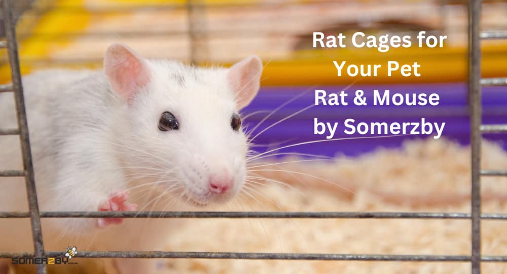 Rat Cages for Your Pet Rat & Mouse by Somerzby