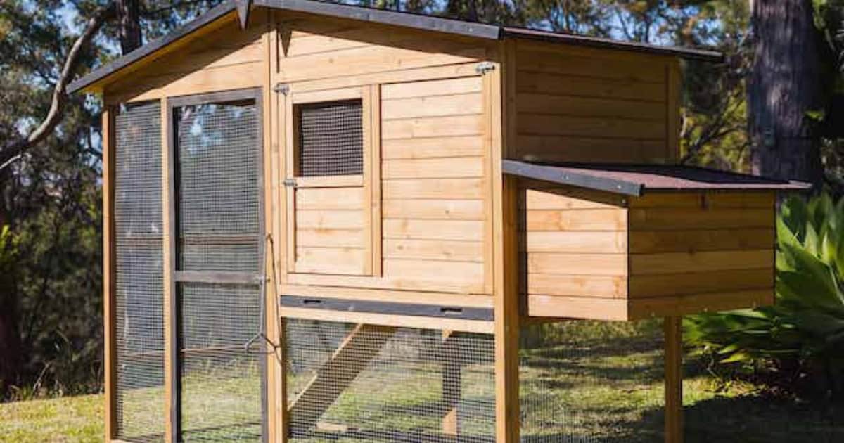 Estate Chicken Coop