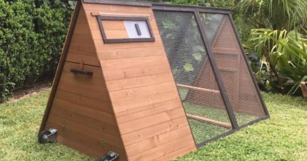 Holly chicken coop Holly chicken coop