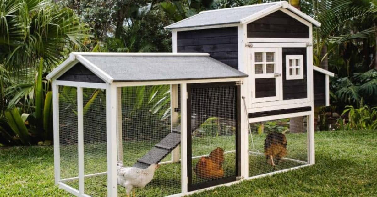 Mansion Chicken Coop Mansion Chicken Coop