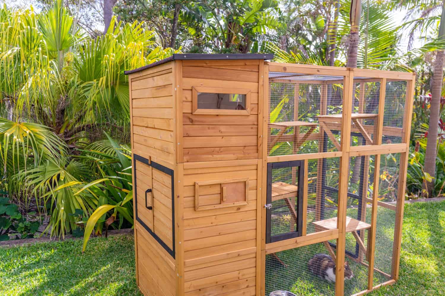 Heidi Cat House - Back View