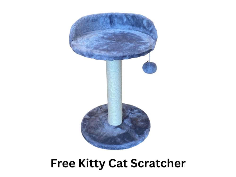 Free Kitty Cat Scratcher