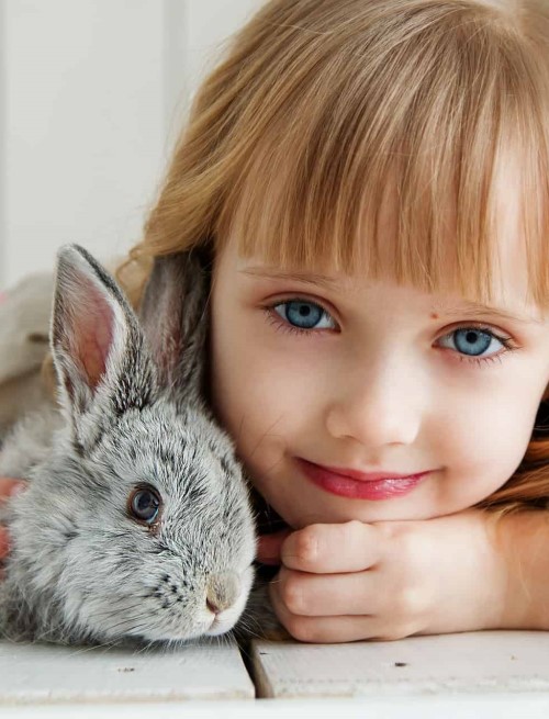 Little girl cuddling her pet rabbit
