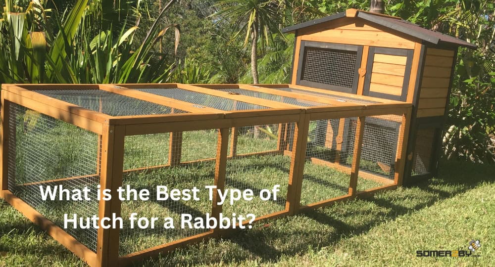 What is the Best Type of Hutch for a Rabbit