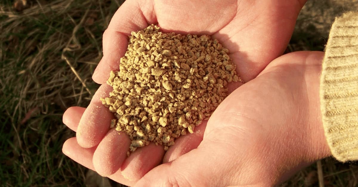 Chicken Crumble Feed