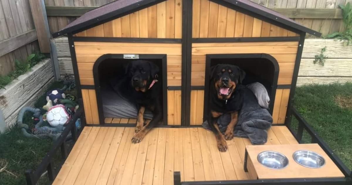 Grand XXXL Double Door Kennel