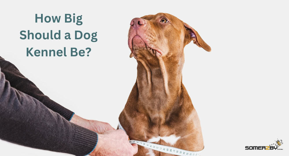 How Big Should a Dog Kennel Be