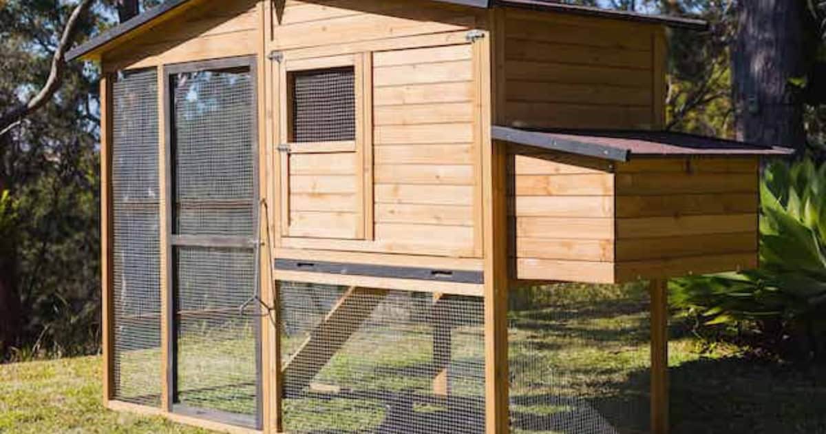 Estate Chicken Coop