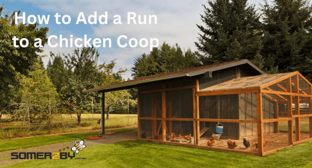 How to Add a Run to a Chicken Coop