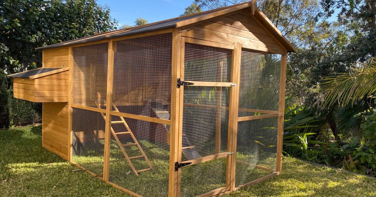 Homestead Chicken Coop