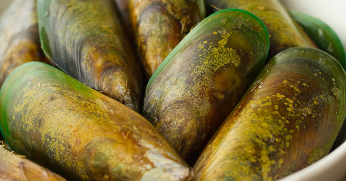 Green lipped mussels
