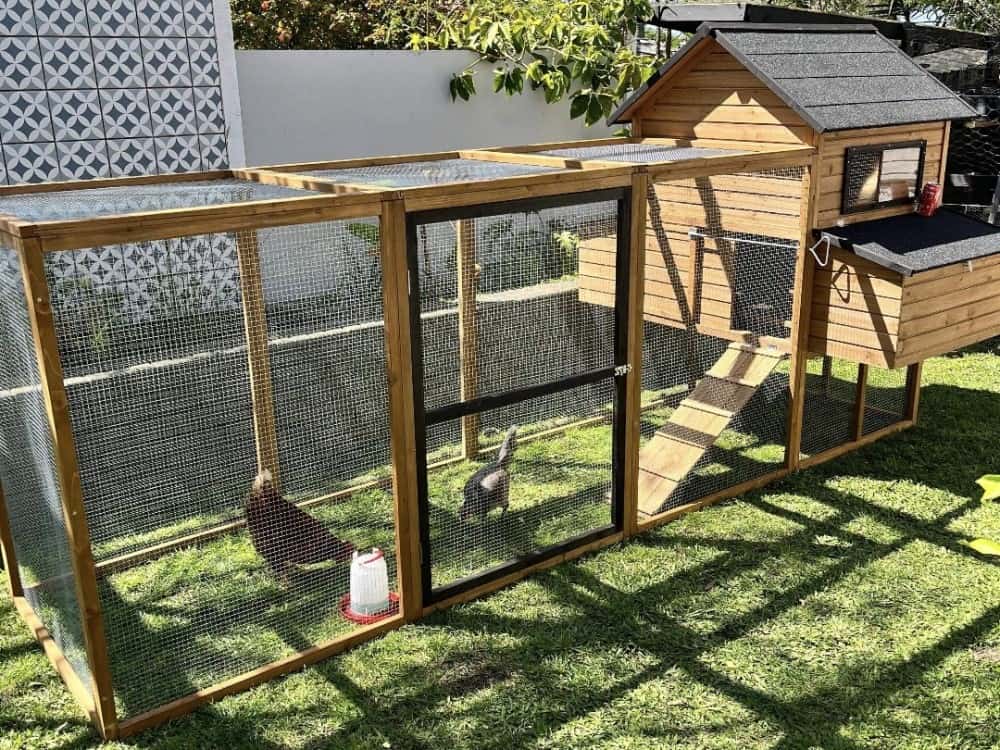 Customer photo - Cabana House and Run - chickens, feeder, grass