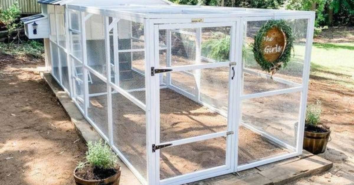 A well-designed chicken coop is vital